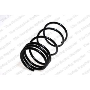 Coil Spring - Rear