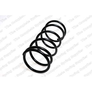 Coil Spring - Rear