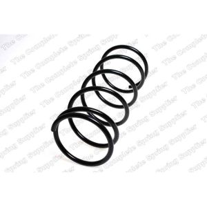 Coil Spring - Rear