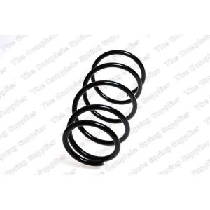 Coil Spring - Rear