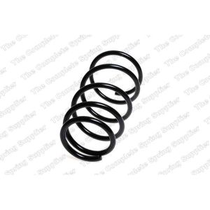 Coil Spring - Rear