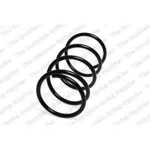 Coil Spring - Rear