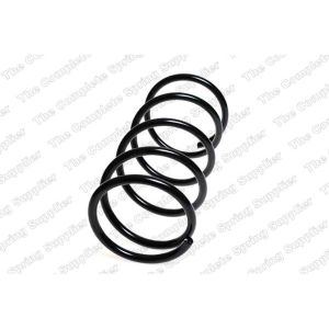 Coil Spring - Rear