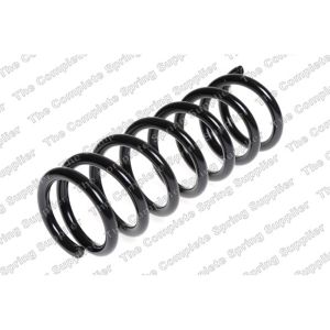 Coil Spring - Rear