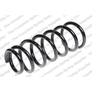 Coil Spring - Rear