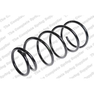 Coil Spring - Rear