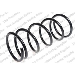 Coil Spring - Rear