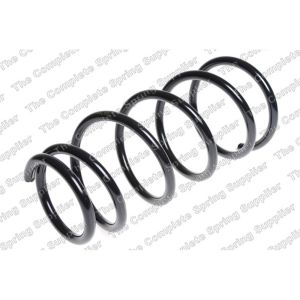 Coil Spring - Rear