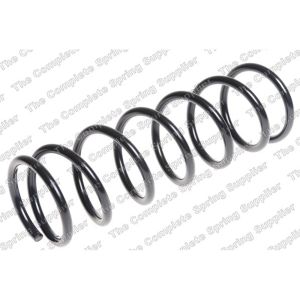 Coil Spring - Rear