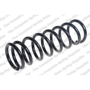 Coil Spring - Rear