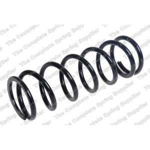 Coil Spring - Rear