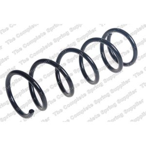 Coil Spring - Rear