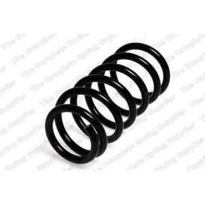 Coil Spring - Rear