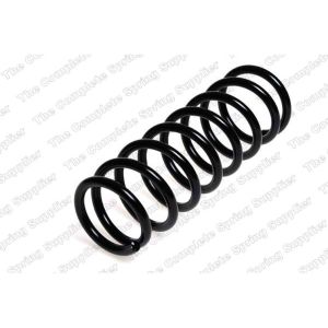 Coil Spring - Rear