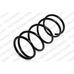 Coil Spring - Rear