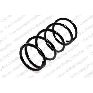 Coil Spring - Rear