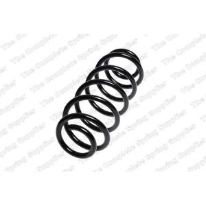 Coil Spring - Rear