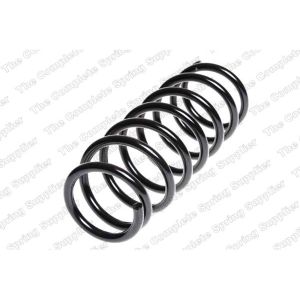 Coil Spring - Rear