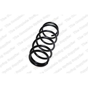 Coil Spring - Rear