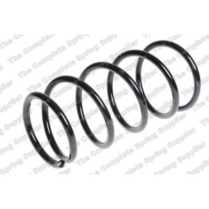 Coil Spring - Rear