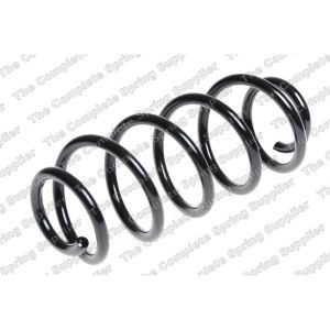 Coil Spring - Rear