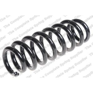 Coil Spring - Rear