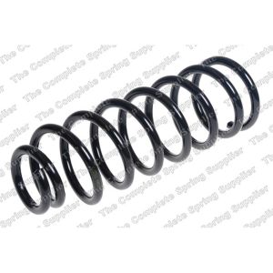 Coil Spring - Rear