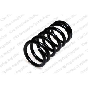 Coil Spring - Rear