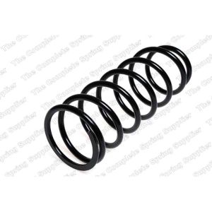 Coil Spring - Rear