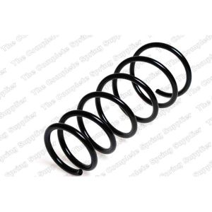 Coil Spring - Rear