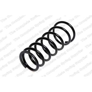 Coil Spring - Rear