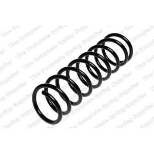 Coil Spring - Rear