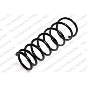 Coil Spring - Rear