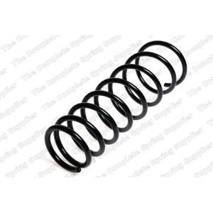 Coil Spring - Rear