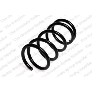 Coil Spring - Rear