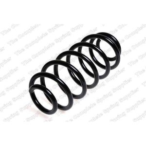 Coil Spring - Rear