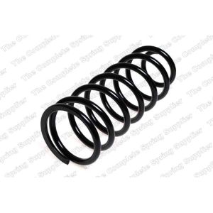 Coil Spring - Rear