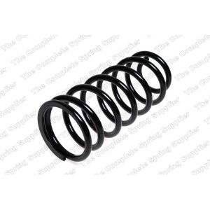 Coil Spring - Rear