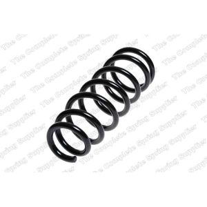 Coil Spring - Rear