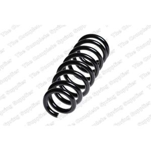 Coil Spring - Rear