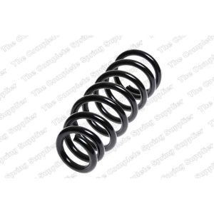 Coil Spring - Rear