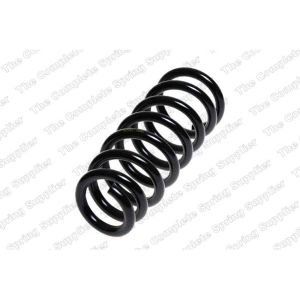 Coil Spring - Rear