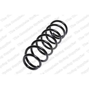 Coil Spring - Rear