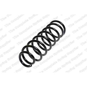 Coil Spring - Rear