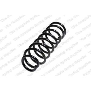 Coil Spring - Rear