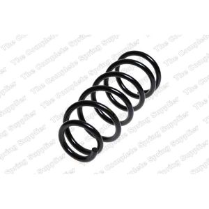 Coil Spring - Rear