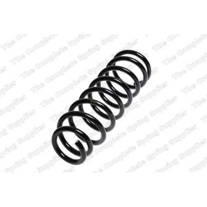 Coil Spring - Rear