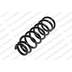 Coil Spring - Rear