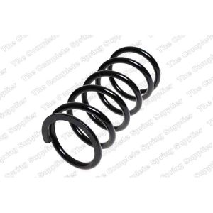 Coil Spring - Rear