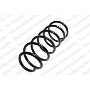 Coil Spring - Rear